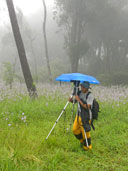 ทุ่งดอกหงอนนาค ลานภูสอยดาว อุทยานแห่งชาติภูสอยดาว 